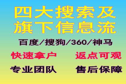 SEM代运营案例分析：精准投放策略解析