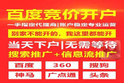 案例研究：SEM开户助力电商快速崛起